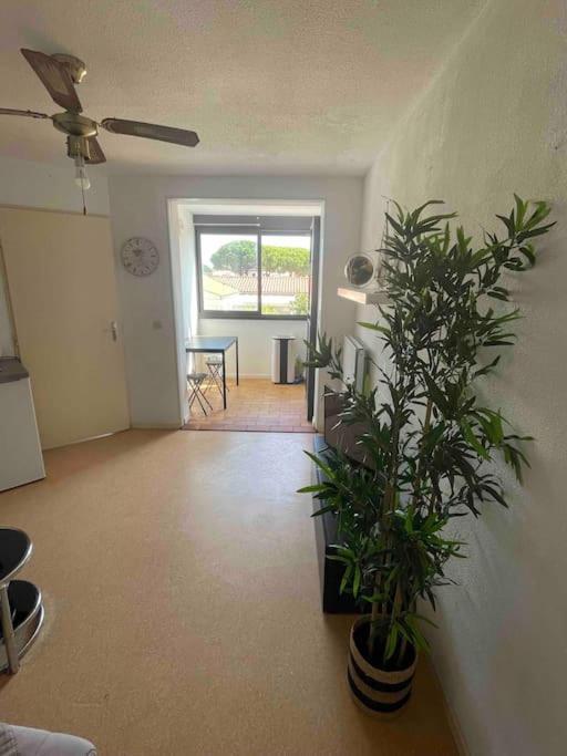 Appartement Port Leucate Eksteriør billede